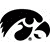 Collection image for: Iowa Hawkeyes