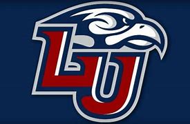 Liberty Flames - GT-Wholesale.com