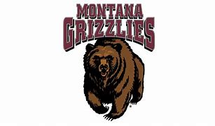 Montana Grizzlies - GT-Wholesale.com