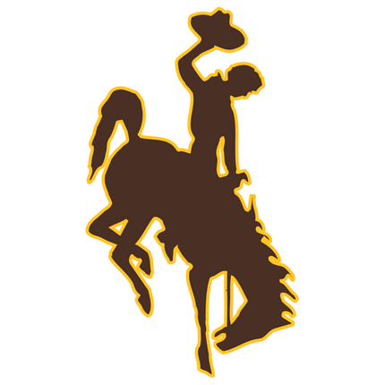 Wyoming Cowboys - GT-Wholesale.com
