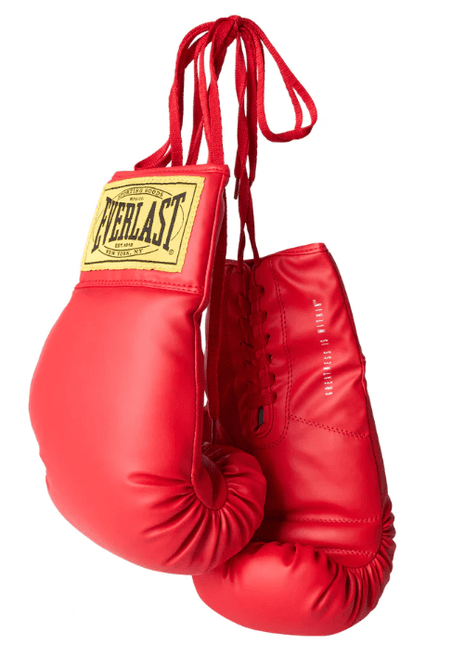 Everlast Red Lace Autograph Boxing Gloves - 1 Pair - GT - Wholesale.com