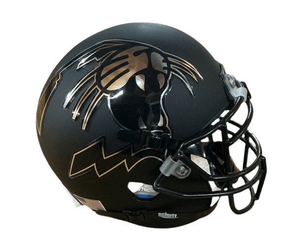 Northwestern Wildcats ALT 2 Schutt NCAA College Football Authentic Mini Helmet