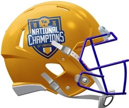 Pittsburgh Panthers Gold 50 Year Riddell NCAA Speed Mini Helmet - GT-Wholesale.com