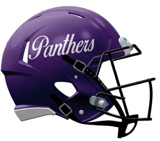 Northern Iowa Panthers Script Riddell NCAA Speed Mini Helmet - GT-Wholesale.com